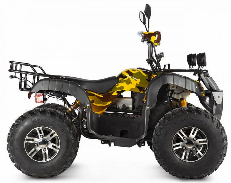 Электроквадроцикл Voltrix Raider Dual Motor 60V4000W